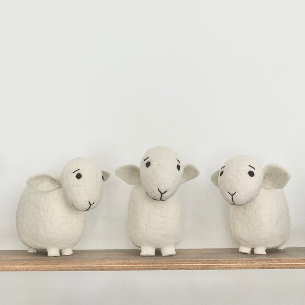 100% Galway Wool Sheep
