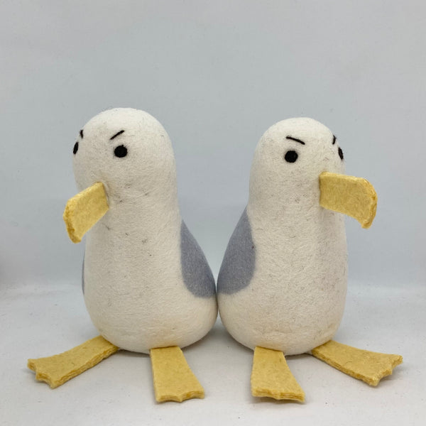 Herring Gull (Sea Gull)