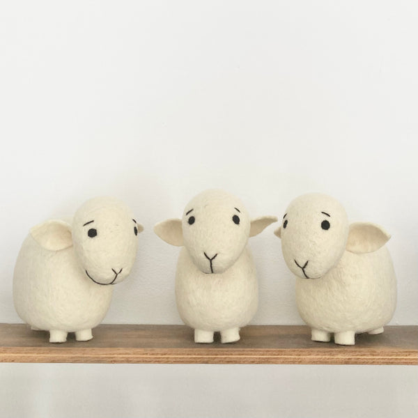 Ballinclea Farm Sheep