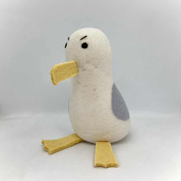 Herring Gull (Sea Gull)