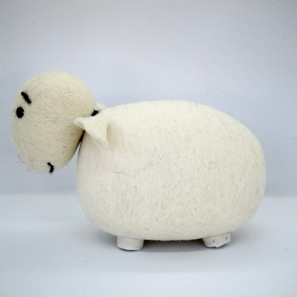 White Sheep (White Head)