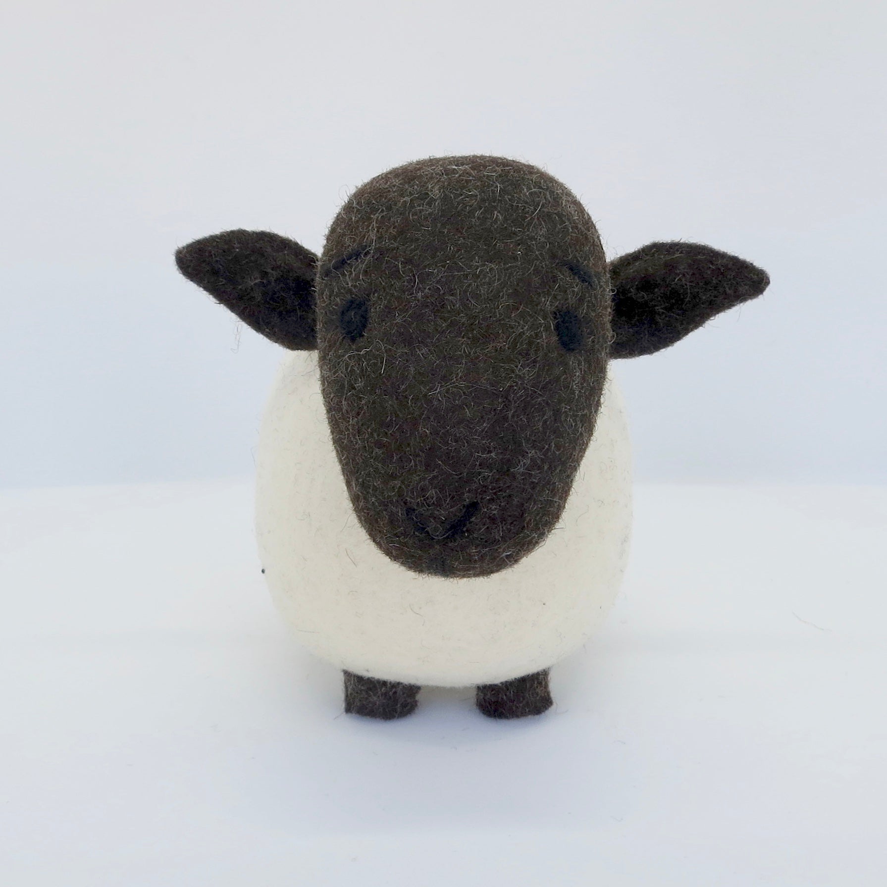 White Sheep (Black Head)