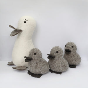 Duck and Duckling Gift Set
